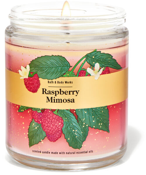 Bath and Body Works Medium Jar Candles New Scents Added!